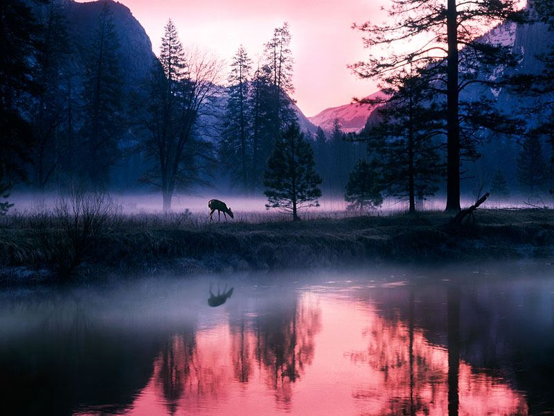 mystical_waters,_yosemite_national_park,_california_-_800x600.jpg