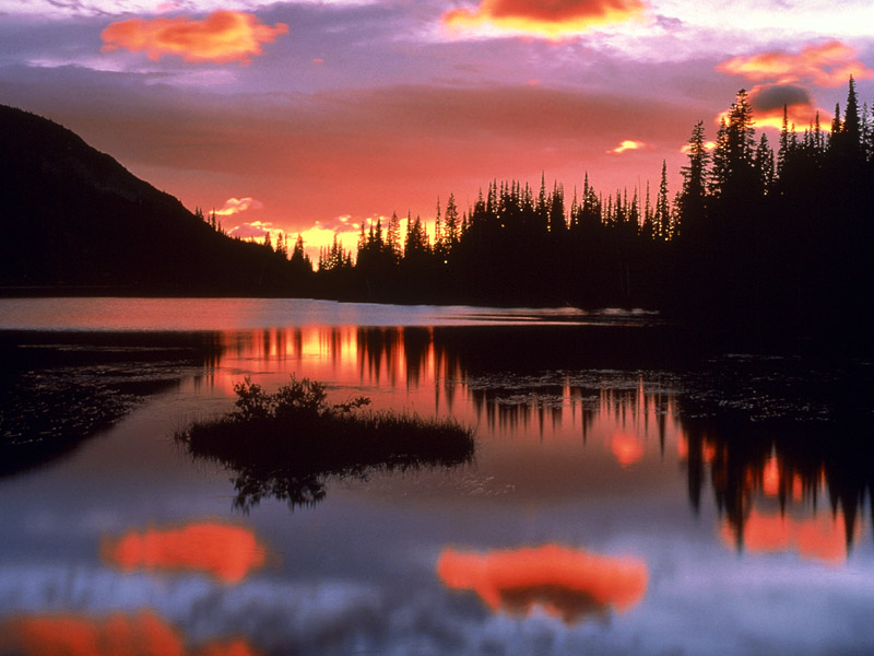 reflection_lake_at_sunrise,_mount_rainier_national_park,_washington_-_800x600.jpg